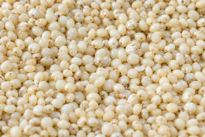 Barnyard millet