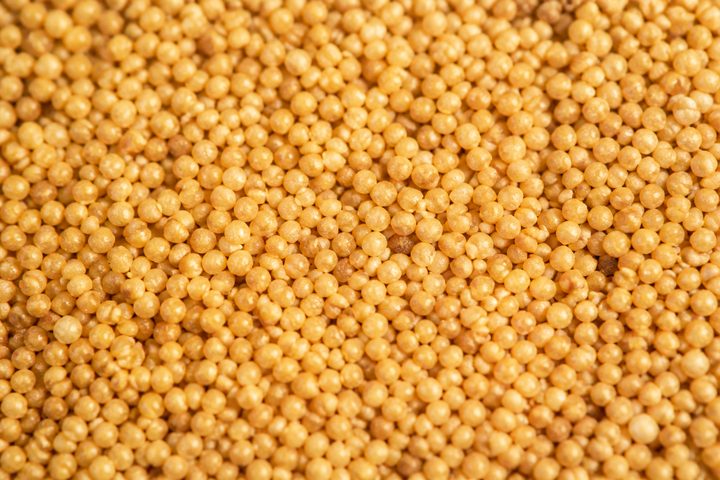 Little millet