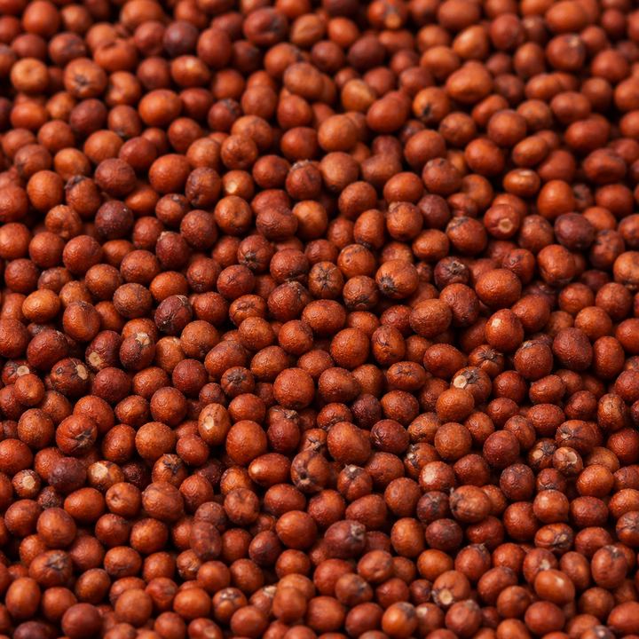 Finger millet ragi